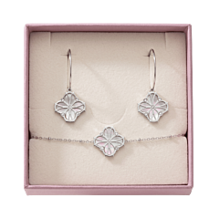 Coffret boucles et Bracelet Nouveau Charm Acier
