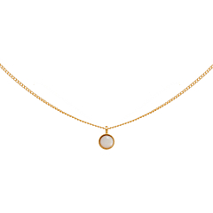 Collier pendentif rond pierre (nacre)