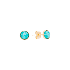 Puces d'oreilles rondes (amazonite)